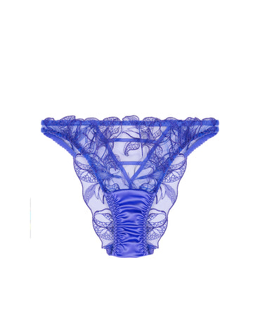 Iris Brazilian Brief