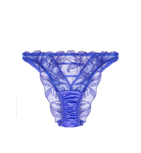 Iris Brazilian Brief